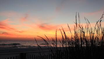 A beach with a wooden fence and tall grasses in the foreground, and a sunset over the ocean.