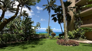 Un jardin bien entretenu, agrémenté de palmiers, d’une pelouse et offrant une vue sur l’océan.