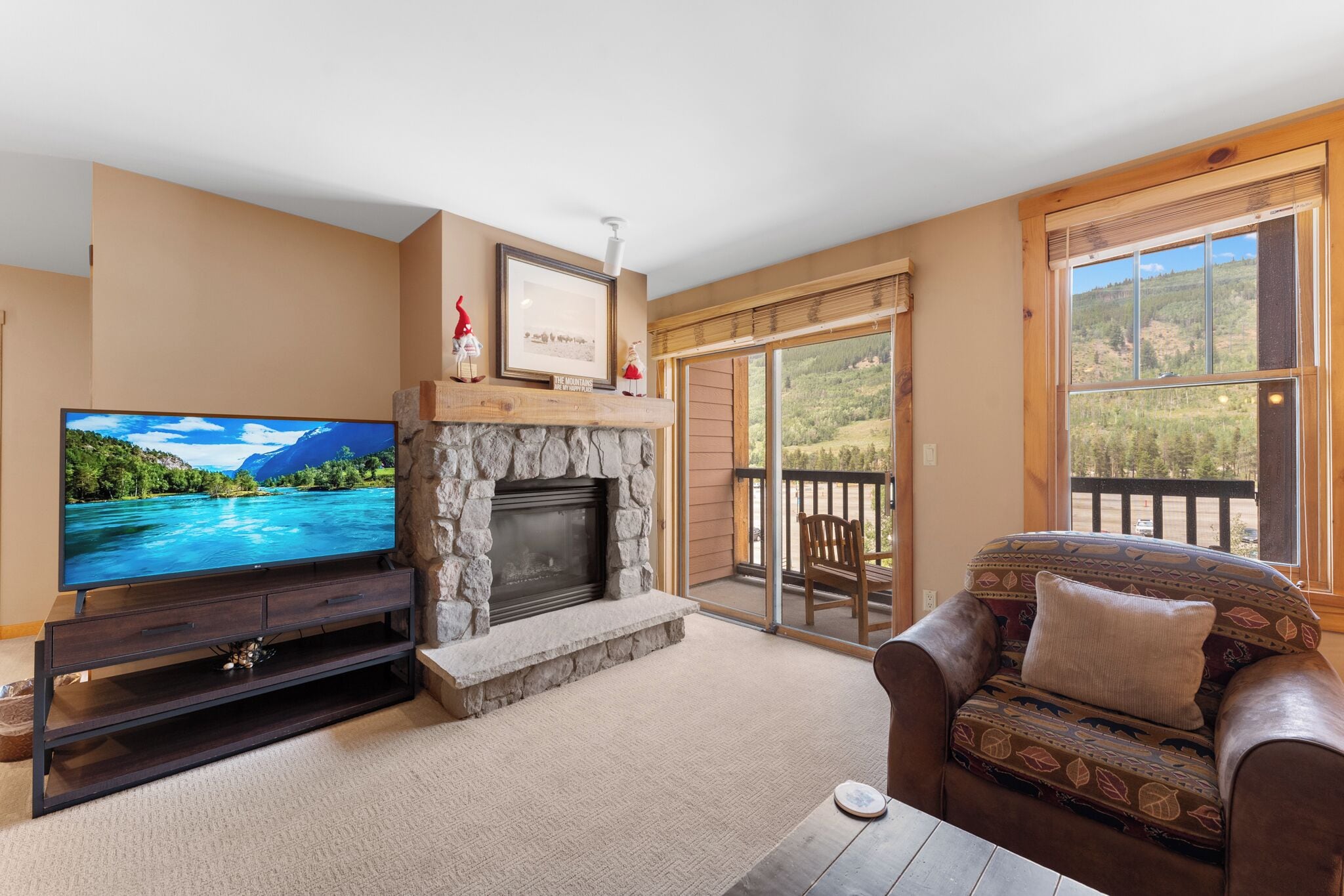 TV, fireplace, DVD player