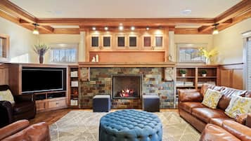 TV, fireplace, video games, DVD player