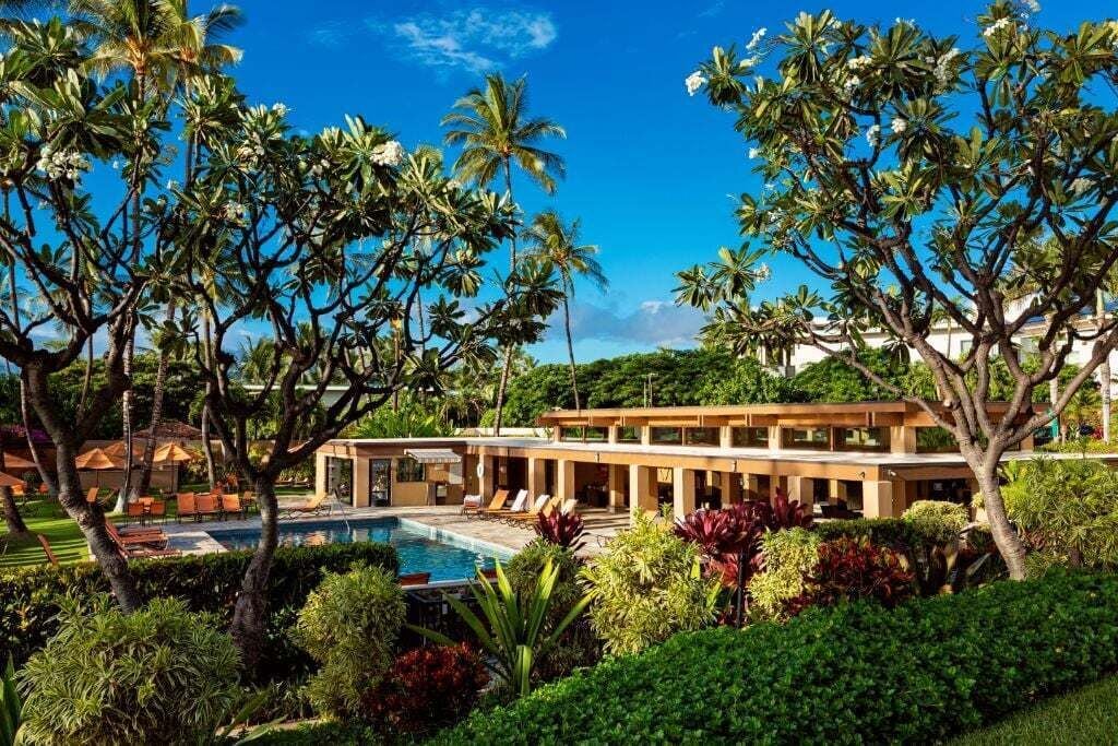A resort with a swimming pool, palm trees, and a modern building with a covered patio area.