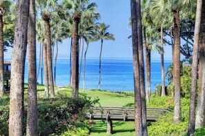A coastal view with palm trees, a grassy area, and a wooden bridge. - Wailea Elua #902 – Bright, Open Ocean-View Haven with Exceptional Scenery (Wailea, Maui)
