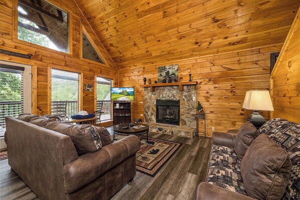 TV, fireplace, books