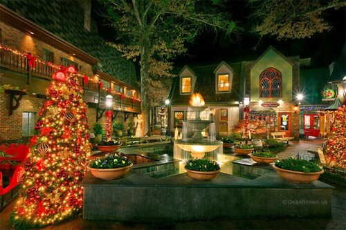 1 makuuhuoneen mökki kävelyetäisyydellä Gatlinburg Community Center