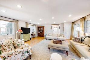 TV, fireplace, books