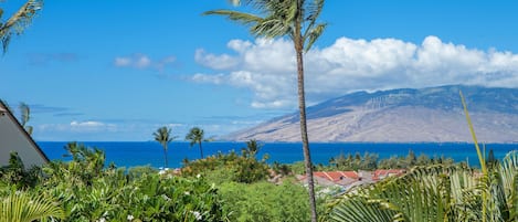 Vue depuis l’hébergement
