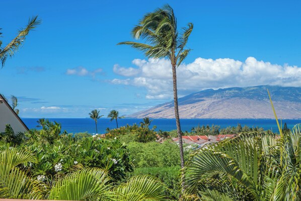 A tropical landscape with a clear view of the ocean and a mountain in the distance.