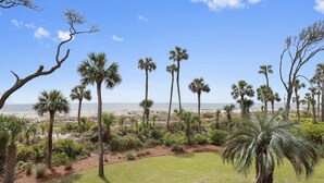Un jardín ajardinado con palmeras y vistas a la playa.
