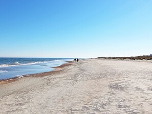 On the beach - Gull Reef 626 | Beachfront Resort with Pools (Tybee Island)