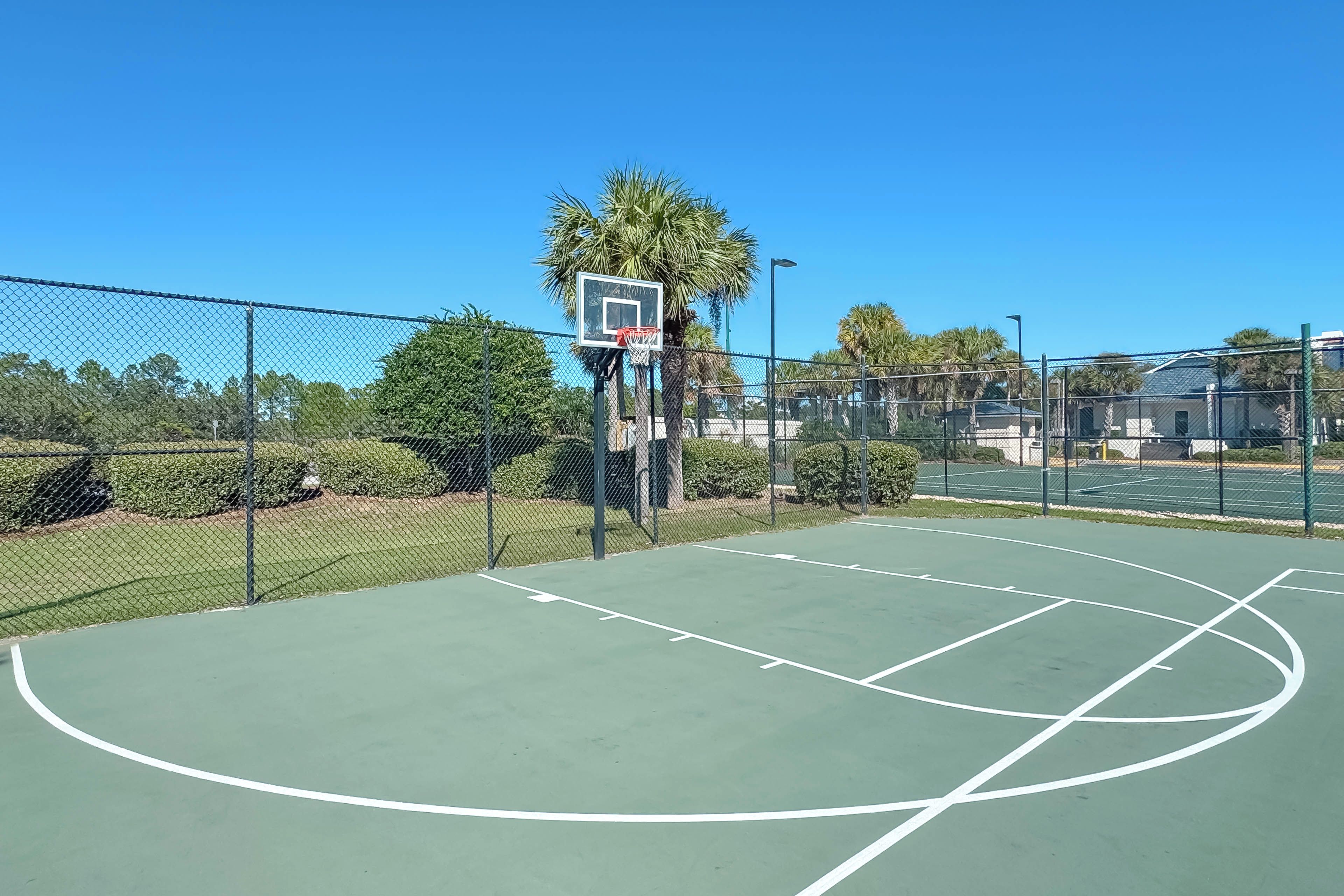 An outdoor basketball court with a chain-link fence, a basketball hoop, and palm trees in the background.