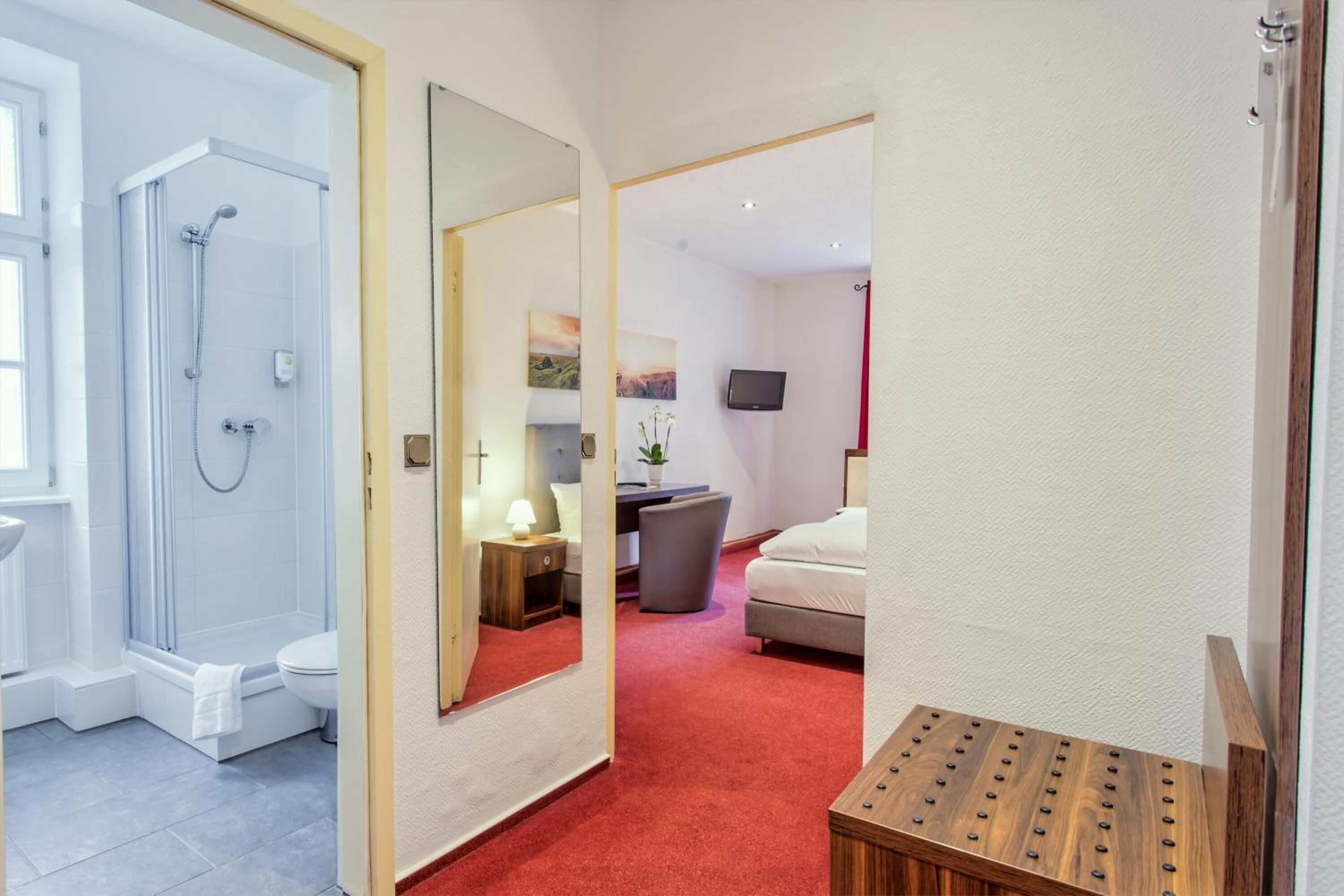 A hotel room with a shower, toilet, bed, bedside table, lamp, and a TV.
