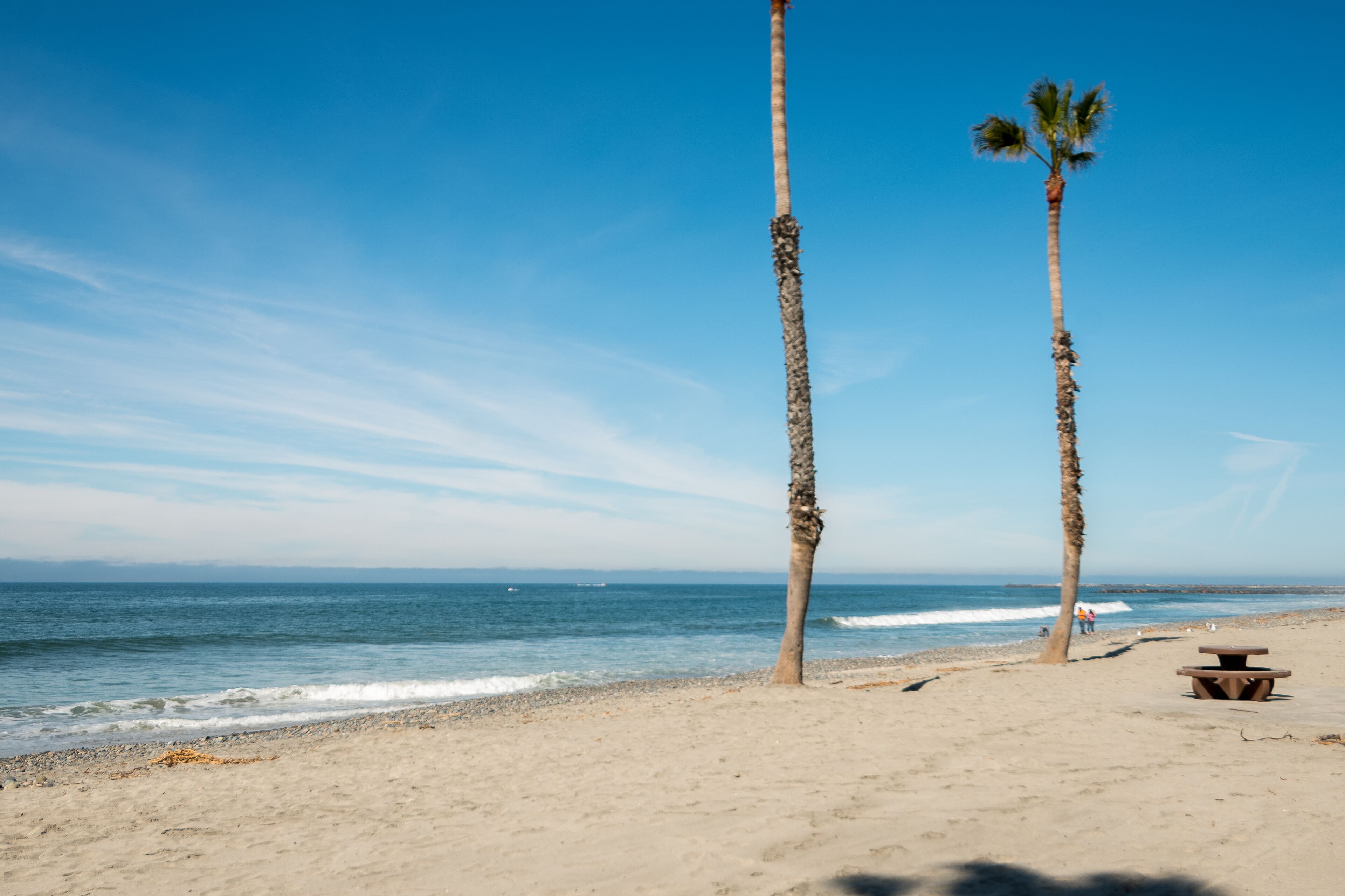 Une plage avec deux palmiers, une table de pique-nique et l’océan en arrière-plan.
