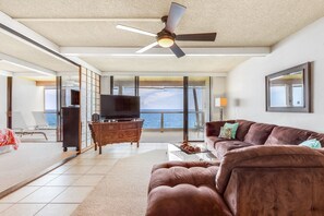 电视、DVD 播放器