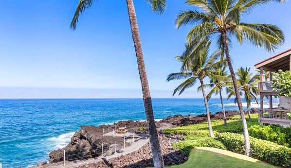 A coastal property with a view of the ocean, palm trees, and a building with a red roof.