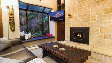 Smart TV, fireplace, DVD player, table tennis