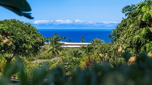 Une vue sur la côte, avec un bâtiment en arrière-plan, entouré d’une végétation luxuriante et de palmiers.