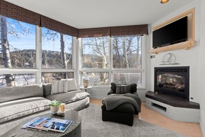 TV, fireplace, DVD player, stereo