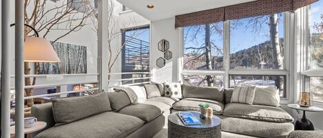 Una televisión, una chimenea, un reproductor de DVD