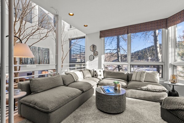 TV, fireplace, DVD player, stereo