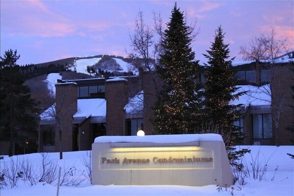 Placa para Park Avenue Condominiums, chão coberto de neve e um pinheiro de Natal com luzes.