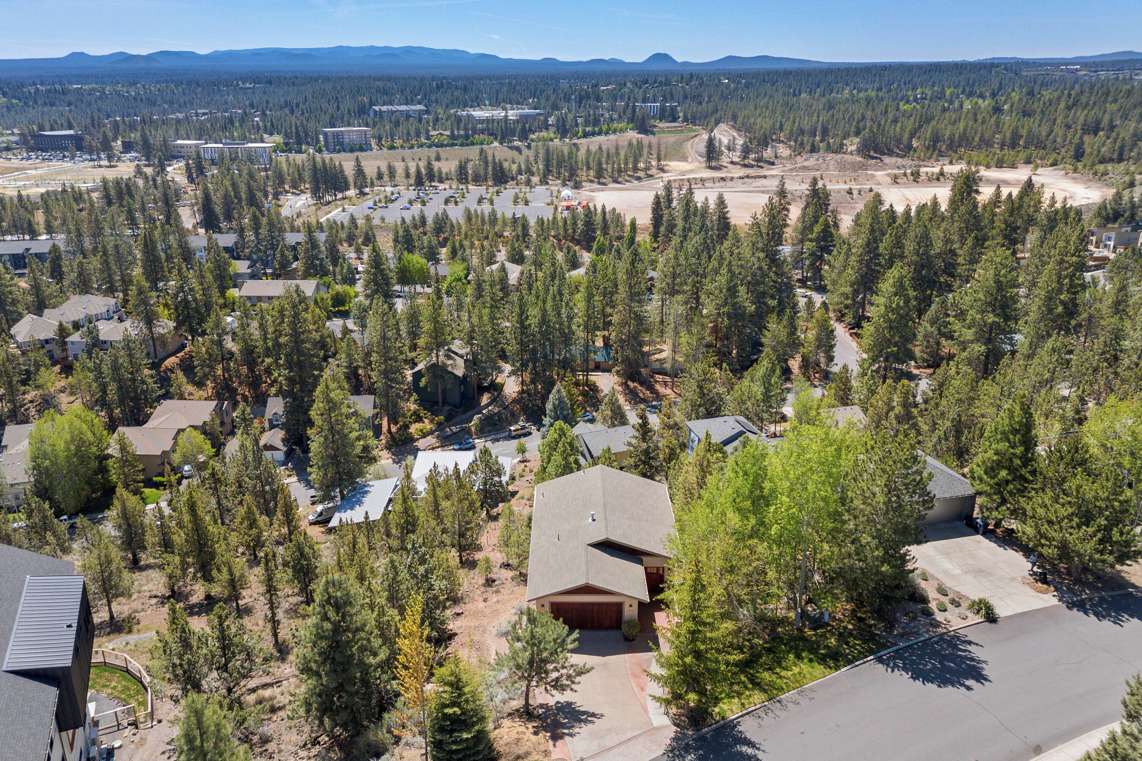 A residential area with houses surrounded by dense forest, a clear sky, and distant mountains.