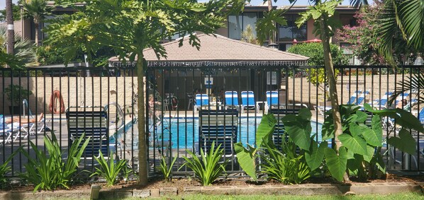 A pool area with lounge chairs and umbrellas, surrounded by a fence and plants. - Kihei Garden Estates #E-204 Garden View, Across from Beach, Great Rates! (Kihei)