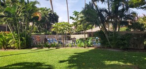 Un jardin bien entretenu, agrémenté de palmiers et entouré d’une clôture.