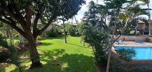 Piscine chauffée