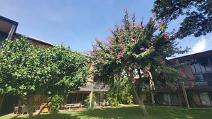 A courtyard with a tree, outdoor furniture, and a building with balconies.
