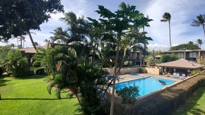 A swimming pool surrounded by palm trees and a well-maintained lawn, with buildings in the background.