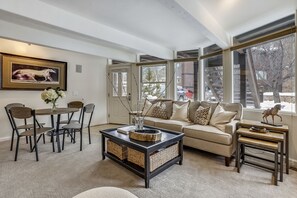 TV, fireplace, DVD player, music library
