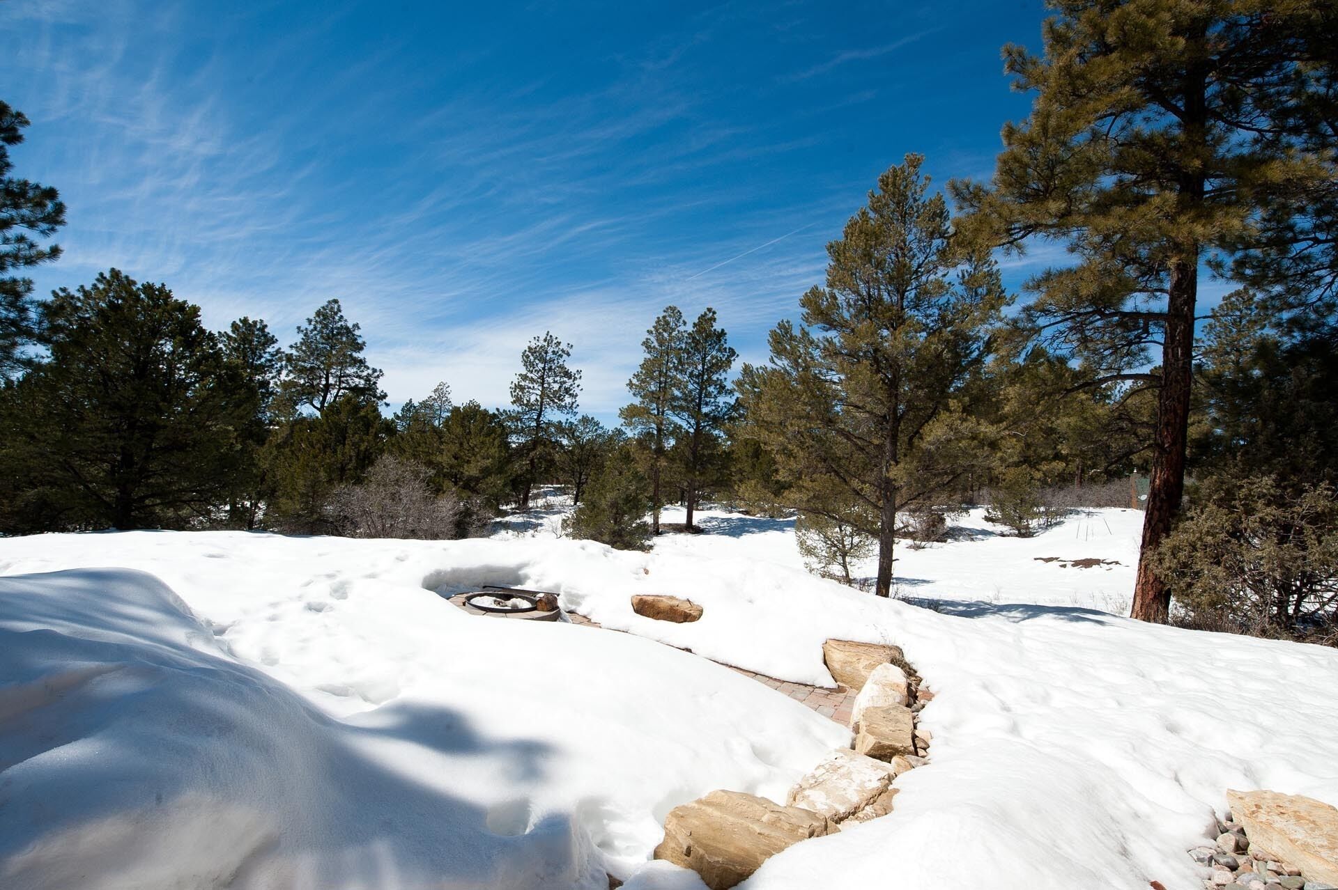A snowy landscape with trees and a clear sky.