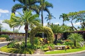 A landscaped garden with palm trees, a stone bench, and a variety of plants.