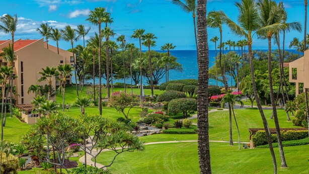 Un resort con un césped bien cuidado, palmeras y vistas al océano.