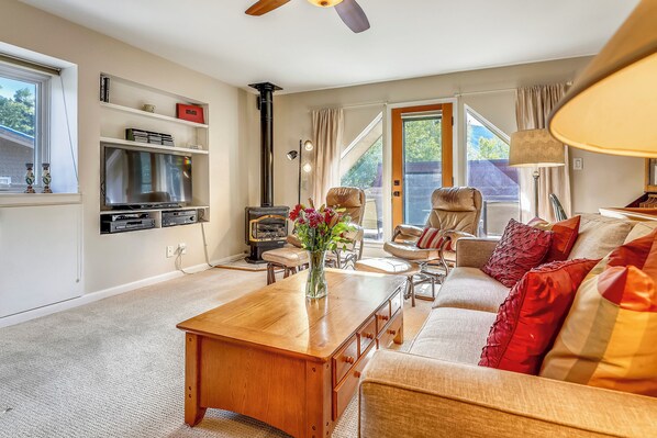 TV, fireplace, books, stereo