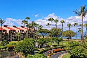 A hotel with a pool, palm trees, and a view of the ocean.