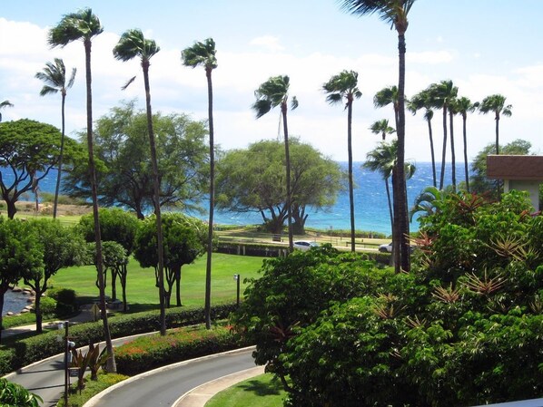 A coastal view with palm trees, a curved road, and a grassy area.