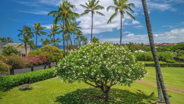 Een weelderige tuin met palmbomen en bloeiende planten, een picknicktafel en uitzicht op de oceaan.