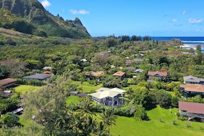 A residential area with houses surrounded by lush greenery and a mountainous backdrop. - Haena Sunrise, Great Mountain & Waterfall Views,  2-Minute Walk to Beach (Haena)
