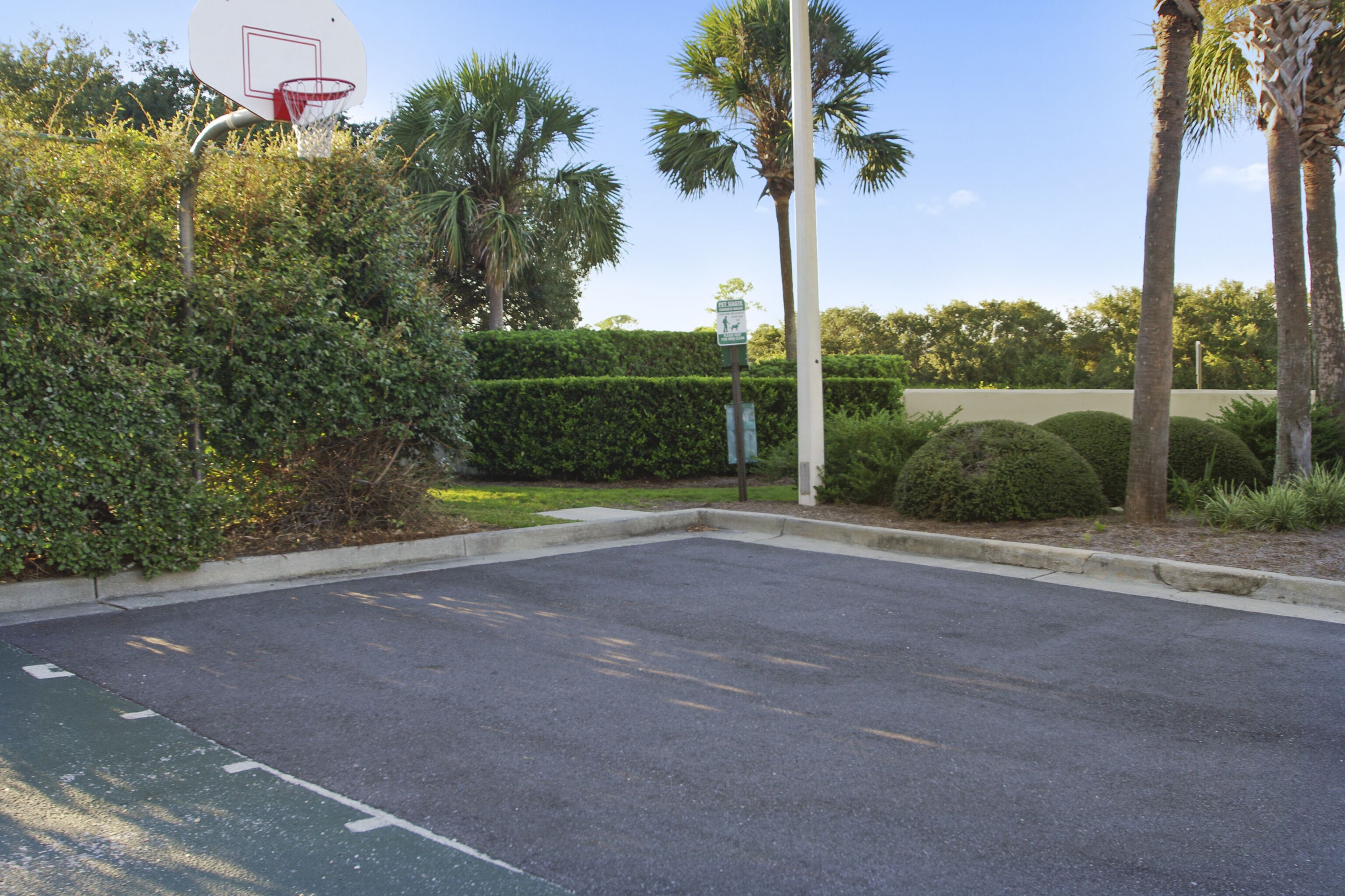 Een parkeerplaats met een basketbalveld en palmbomen.