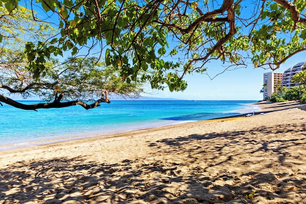 Guests can enjoy breathtaking ocean views from this beachfront location.