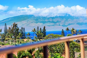 Enjoy breathtaking ocean and mountain views from this tropical resort, surrounded by lush greenery and palm trees.
