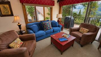 TV, fireplace, DVD player, video library
