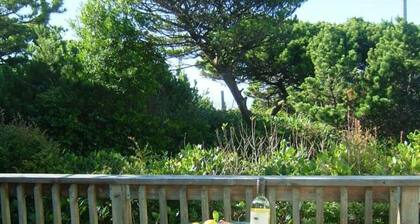 Heceta Haven with a peek of the ocean.