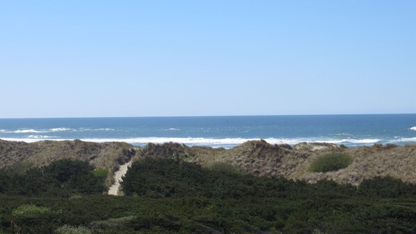 A coastal landscape with dunes, vegetation, and the ocean. - Deja View on Heceta Beach (Florence)