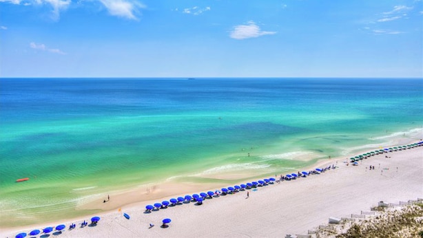 A beach with a row of blue umbrellas and a clear view of the ocean.