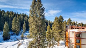 A snow-covered landscape with tall evergreen trees and a multi-story building with balconies.