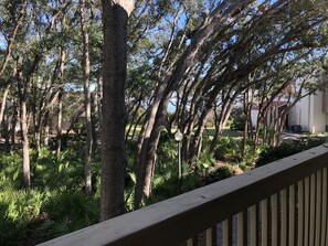 Property grounds - Villa 456 - 3 bedrooms, 2 bathrooms and Pet Friendly Year Around (Jekyll Island)