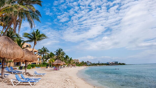 A beach with thatched-roof huts, palm trees, and a clear blue sky. - Steps to the sea! Charming garden view studio with beach access, WiFi and AC. (Akumal)