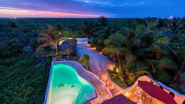 A swimming pool with a curved edge, surrounded by palm trees and a view of the horizon. - Oceanfront Akumal Villa With Pool Near Snorkeling & Restaurants (Akumal)